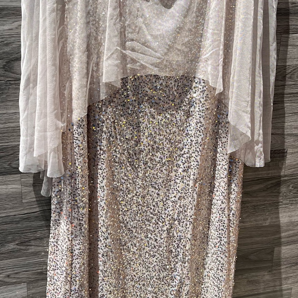 Elegant Silver Sequin Dress